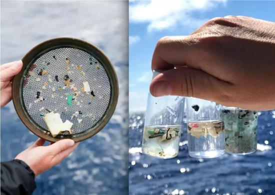 科学家们在他们访问的海洋的每一个地方都发现了塑料和微塑料